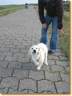 Langeoog_2009_184.jpg