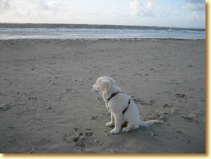 Langeoog_2009_200.jpg