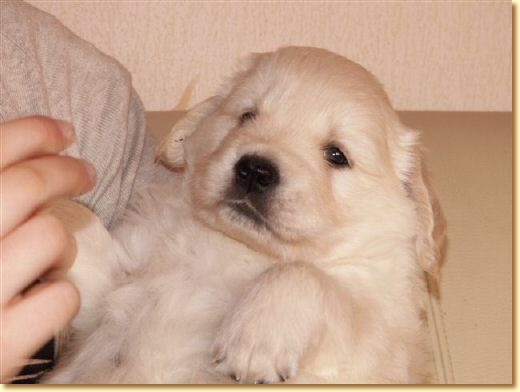 PICT0019.JPG